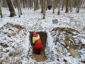 Eine Person mit rot-gelber Arbeitskleidung steht in einem Loch, das in den Waldboden gegraben wurde. Der Waldboden ist schneebedeckt. 